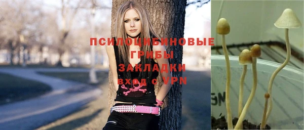 гидропоника Осташков