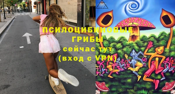 спиды Волосово